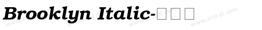 Brooklyn Italic字体转换